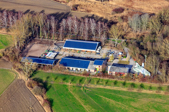 Vue aérienne de Écuries Kennelhof à le quartier Sondernheim in Germersheim dans le département Rhénanie-Palatinat, Allemagne