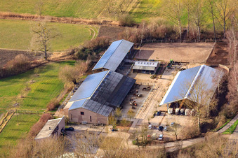 Photographie aérienne de Écuries Kennelhof à le quartier Sondernheim in Germersheim dans le département Rhénanie-Palatinat, Allemagne
