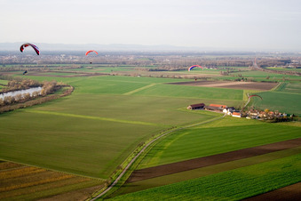 Vue aérienne de Au nord de à le quartier Insultheimerhof in Hockenheim dans le département Bade-Wurtemberg, Allemagne