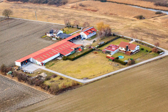 Vue aérienne de Aussiedlerhof sur le Vieux Rhin à Neupotz dans le département Rhénanie-Palatinat, Allemagne