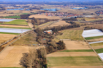 Moulin de Wanzheim à Rheinzabern dans le département Rhénanie-Palatinat, Allemagne vue d'en haut