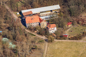 Image drone de Moulin de Wanzheim à Rheinzabern dans le département Rhénanie-Palatinat, Allemagne
