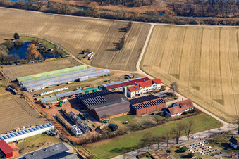 Vue aérienne de Ferme du forgeron et maison d'hôtes Neupotz à Neupotz dans le département Rhénanie-Palatinat, Allemagne