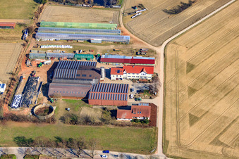 Photographie aérienne de Ferme du forgeron et maison d'hôtes Neupotz à Neupotz dans le département Rhénanie-Palatinat, Allemagne
