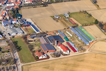 Vue aérienne de Cour du forgeron à Neupotz dans le département Rhénanie-Palatinat, Allemagne
