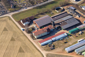 Vue oblique de Ferme du forgeron et maison d'hôtes Neupotz à Neupotz dans le département Rhénanie-Palatinat, Allemagne