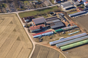 Ferme du forgeron et maison d'hôtes Neupotz à Neupotz dans le département Rhénanie-Palatinat, Allemagne d'en haut