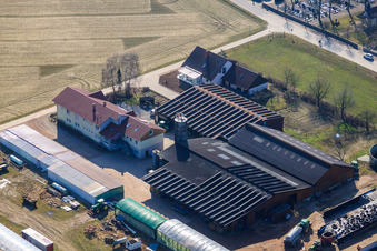 Ferme du forgeron et maison d'hôtes Neupotz à Neupotz dans le département Rhénanie-Palatinat, Allemagne hors des airs