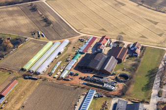 Ferme du forgeron et maison d'hôtes Neupotz à Neupotz dans le département Rhénanie-Palatinat, Allemagne depuis l'avion