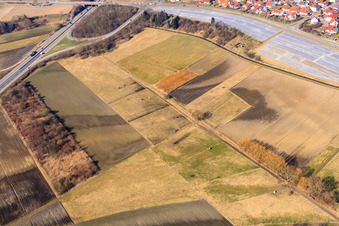 Vue aérienne de Prairies sur la B9 à Rheinzabern dans le département Rhénanie-Palatinat, Allemagne