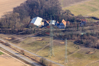 Vue aérienne de Pâturages à chevaux près du moulin de Wanzheim à Rheinzabern dans le département Rhénanie-Palatinat, Allemagne