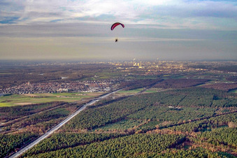 Vue aérienne de Ville du sud à Ketsch dans le département Bade-Wurtemberg, Allemagne