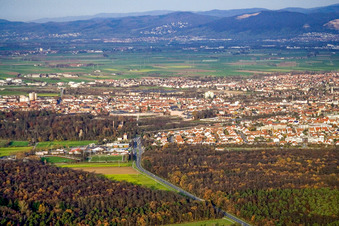 Vue aérienne de Ville du sud à Schwetzingen dans le département Bade-Wurtemberg, Allemagne