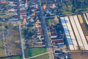 Photographie aérienne de Rue Schwegenheimer à Lingenfeld dans le département Rhénanie-Palatinat, Allemagne