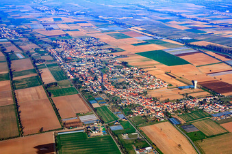 Vue aérienne de Vue de la ville depuis l'est à le quartier Niederlustadt in Lustadt dans le département Rhénanie-Palatinat, Allemagne