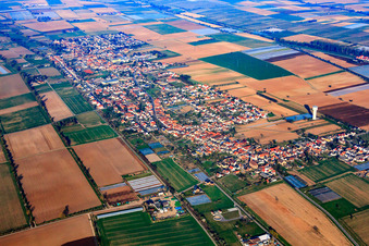 Photographie aérienne de Vue de la ville depuis l'est à le quartier Niederlustadt in Lustadt dans le département Rhénanie-Palatinat, Allemagne
