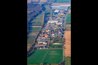 Vue aérienne de Zone commerciale Auf der BÜSCHE à le quartier Niederlustadt in Lustadt dans le département Rhénanie-Palatinat, Allemagne