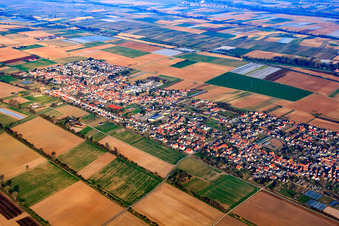 Vue aérienne de Vue du sud-est à le quartier Niederlustadt in Lustadt dans le département Rhénanie-Palatinat, Allemagne