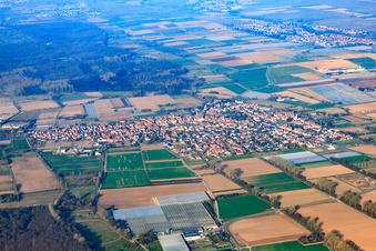Vue aérienne de Vue de la ville depuis l'est à Zeiskam dans le département Rhénanie-Palatinat, Allemagne