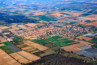 Photographie aérienne de Vue de la ville depuis l'est à Zeiskam dans le département Rhénanie-Palatinat, Allemagne
