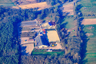 Vue aérienne de Club d'équitation et de conduite Zeiskam eV à Zeiskam dans le département Rhénanie-Palatinat, Allemagne