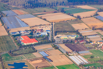 Vue aérienne de Zone industrielle à Sauheide sur le Druslach avec Bührmann Weine GmbH à Zeiskam dans le département Rhénanie-Palatinat, Allemagne
