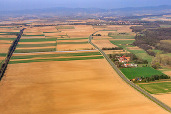 Photographie aérienne de Quartier de Höfen à le quartier Minderslachen in Kandel dans le département Rhénanie-Palatinat, Allemagne