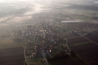 Vue aérienne de Dans la brume matinale à Erlenbach bei Kandel dans le département Rhénanie-Palatinat, Allemagne