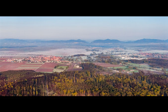 Vue aérienne de Vue du village dans la brume matinale depuis l'est à Steinweiler dans le département Rhénanie-Palatinat, Allemagne