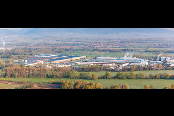 Vue aérienne de Parc industriel de LANDAU EST avec Michelin TIRE WORKS LANDAU et RONAL GmbH à Landau in der Pfalz dans le département Rhénanie-Palatinat, Allemagne