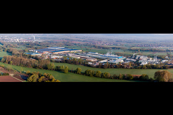 Vue aérienne de Panorama - Perspective de la zone industrielle et commerciale de Landau Est (usine de pneus Michelin) à Landau in der Pfalz dans le département Rhénanie-Palatinat, Allemagne