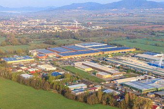 Vue aérienne de Parc industriel de LANDAU EST avec Michelin TIRE WORKS LANDAU et RONAL GmbH à Landau in der Pfalz dans le département Rhénanie-Palatinat, Allemagne