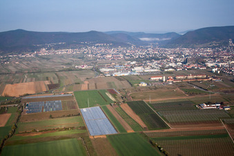 Neustadt an der Weinstraße dans le département Rhénanie-Palatinat, Allemagne vue du ciel