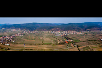 Vue aérienne de Perspective panoramique des vignobles au bord du Haardt dans le district de Gimmeldingen à le quartier Königsbach in Neustadt an der Weinstraße dans le département Rhénanie-Palatinat, Allemagne