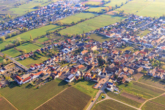 Vue aérienne de Saint-Martin à Ruppertsberg dans le département Rhénanie-Palatinat, Allemagne