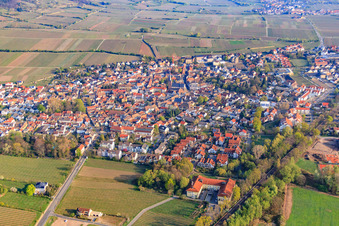 Vue aérienne de Ville viticole du sud-est à Deidesheim dans le département Rhénanie-Palatinat, Allemagne