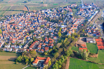 Vue aérienne de Ville viticole du sud-est à Deidesheim dans le département Rhénanie-Palatinat, Allemagne