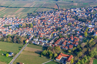 Photographie aérienne de Ville viticole du sud-est à Deidesheim dans le département Rhénanie-Palatinat, Allemagne