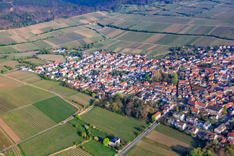 Vue aérienne de Au vignoble, Mühltalstr à Deidesheim dans le département Rhénanie-Palatinat, Allemagne