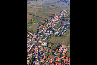Vue aérienne de Weinstr à Forst an der Weinstraße dans le département Rhénanie-Palatinat, Allemagne