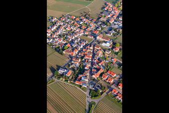 Vue aérienne de Rue Niederkircher à Forst an der Weinstraße dans le département Rhénanie-Palatinat, Allemagne