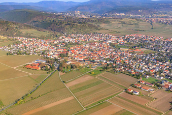 Vue aérienne de Ville viticole du sud-est à Wachenheim an der Weinstraße dans le département Rhénanie-Palatinat, Allemagne
