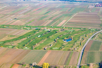 Club de golf de la route des vins allemands à Dackenheim dans le département Rhénanie-Palatinat, Allemagne d'en haut