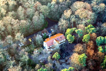 Vue aérienne de Restaurant en plein air Naturfreundehaus Bienwaldhütte à Kandel dans le département Rhénanie-Palatinat, Allemagne