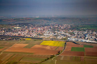 Vue aérienne de Du sud à Grünstadt dans le département Rhénanie-Palatinat, Allemagne