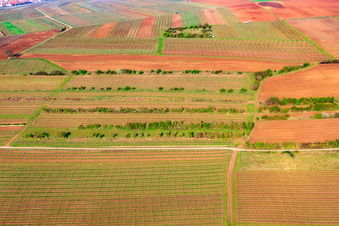 Vue aérienne de À la fontaine Goldberg à le quartier Dalsheim in Flörsheim-Dalsheim dans le département Rhénanie-Palatinat, Allemagne