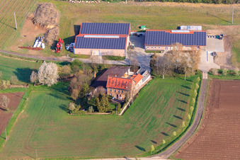 Vue aérienne de Vente d'asperges Simmel à Ober-Flörsheim dans le département Rhénanie-Palatinat, Allemagne