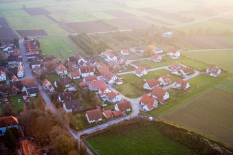 Vue aérienne de Nouvelle zone de développement Am Brennofen à Freckenfeld dans le département Rhénanie-Palatinat, Allemagne