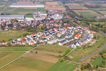 Vue aérienne de Nouveau quartier de développement Rosetta-Vogt-Straße à Bodenheim dans le département Rhénanie-Palatinat, Allemagne