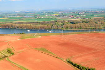 Vue aérienne de Rhin à Nierstein à Nierstein dans le département Rhénanie-Palatinat, Allemagne